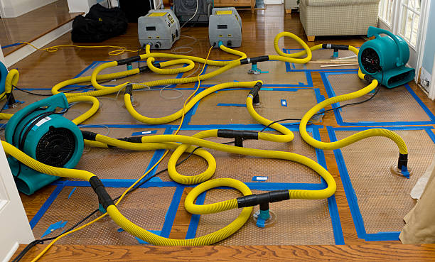 Professional Water Damage Repair technician working in Wales, WI